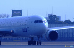 弥生の旅へ✈JA614A