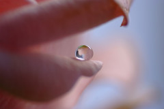 1月の夢・雫