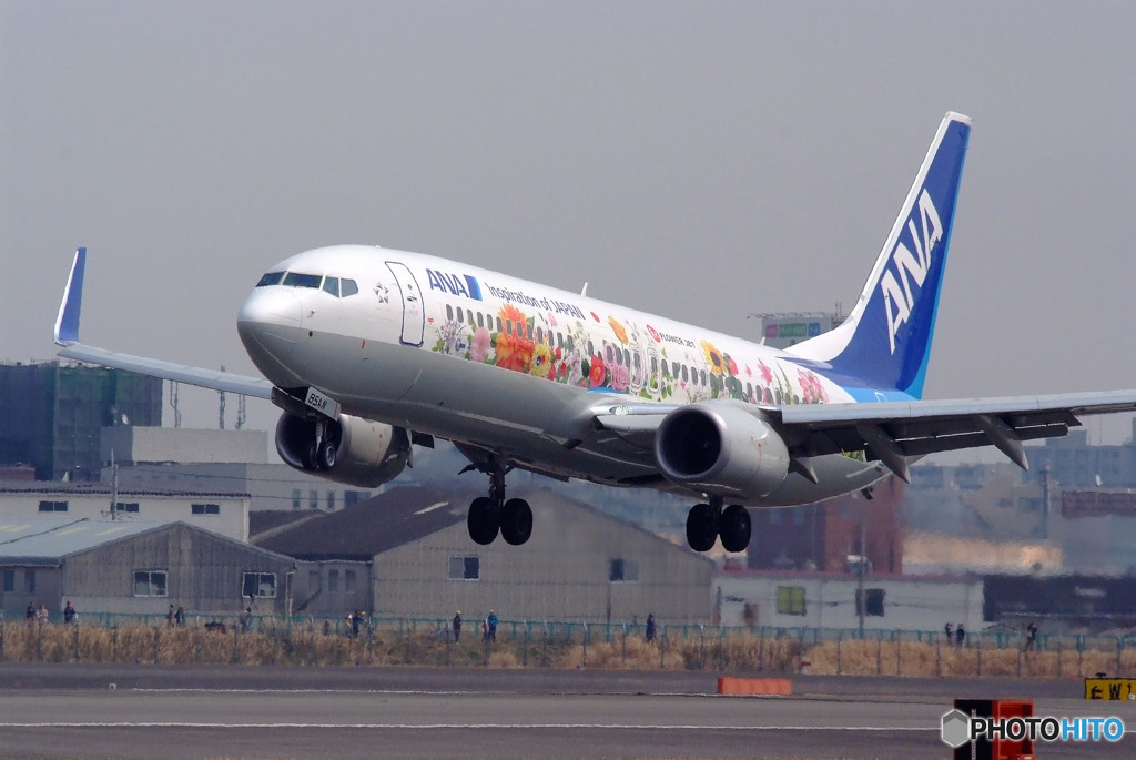 春が来たよ・JA85AN