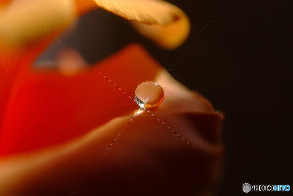 愛と青春の旅立ち・雫