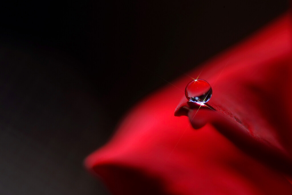 Labyrinth dropsⅣ✿輝き