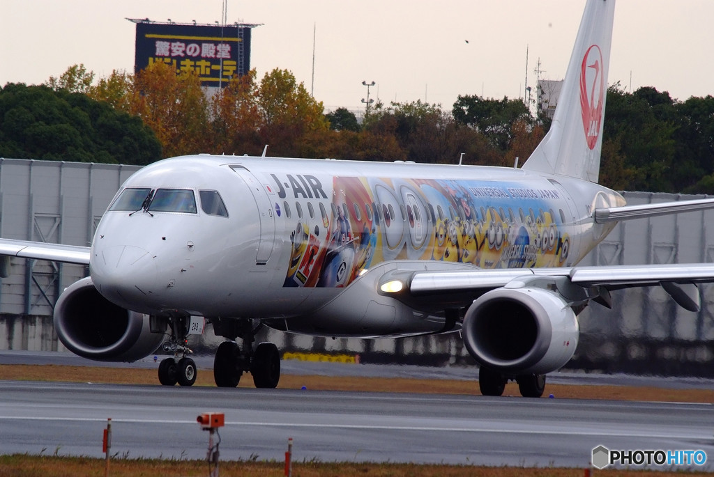 Gift from south・JA248J