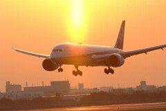 Natural Light✿2月の朝