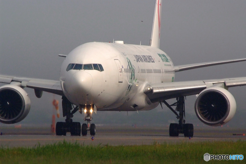 春霞の空へ・ECO