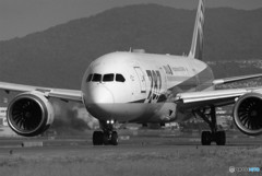 6月の空へ翔べ・Ⅴ