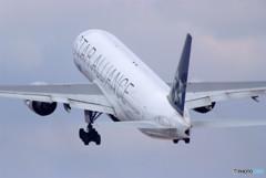 輝き・Star Alliance  輝き・Star Alliance