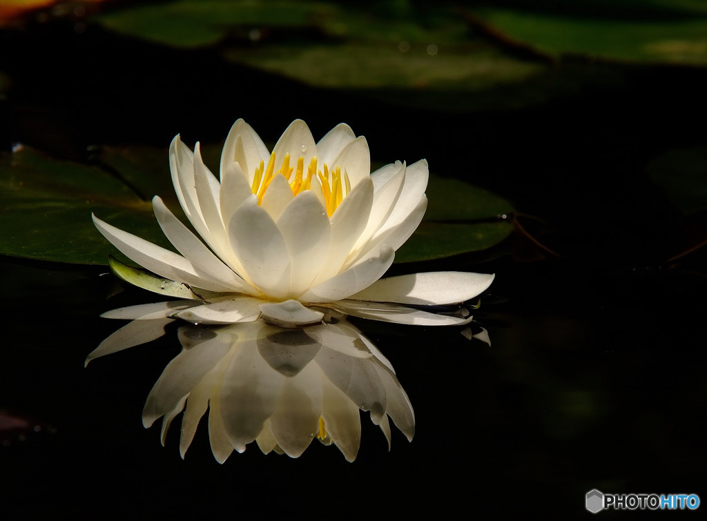 永遠の輝き・睡