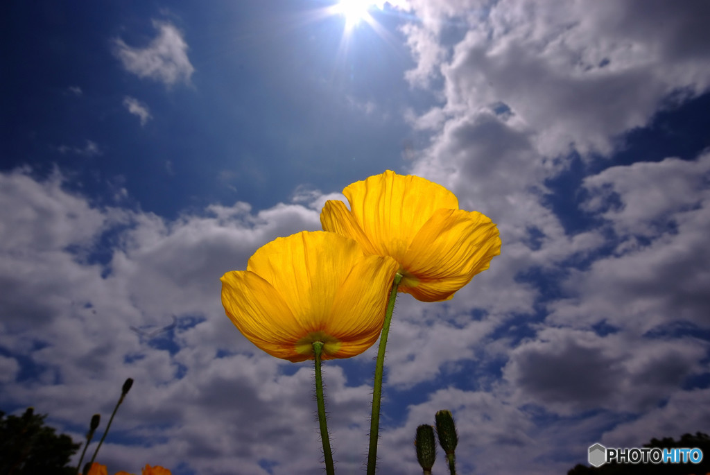 二人の世界へ・華