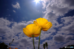 二人の世界へ・華