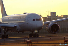 Morning Shot✈HARADAの朝