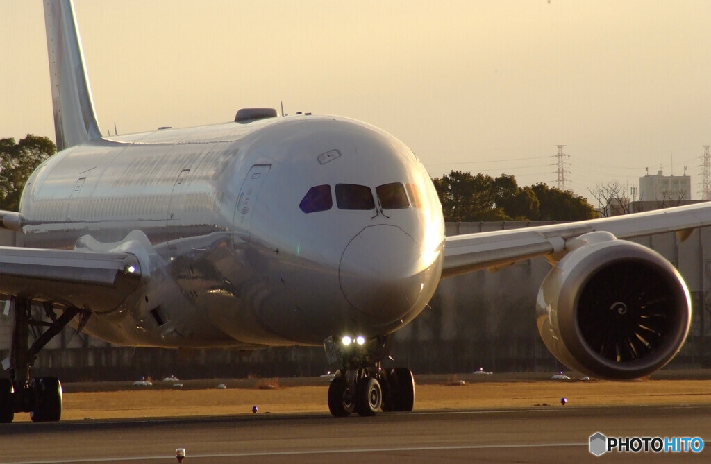 男たちの朝★JALBoeing787-8