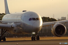 男たちの朝★JALBoeing787-8