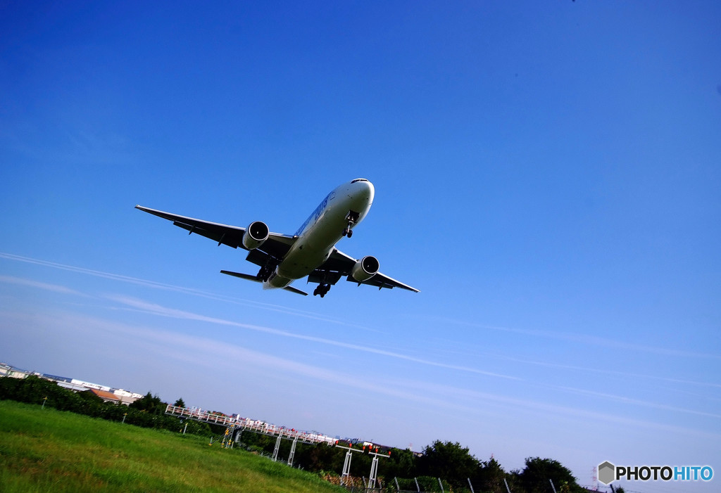 猛暑 猛烈・サムライブルー