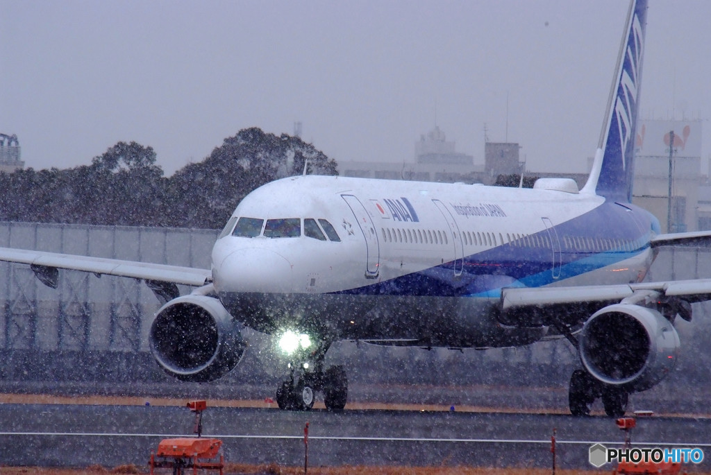 Snow Liner・A321