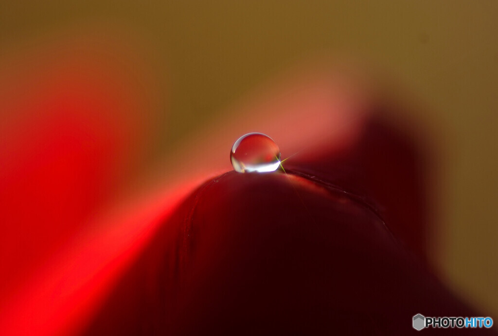 小さな祈り❁如月の瞳