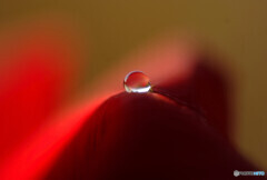 小さな祈り❁如月の瞳