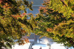 色彩々✿勝尾寺2022