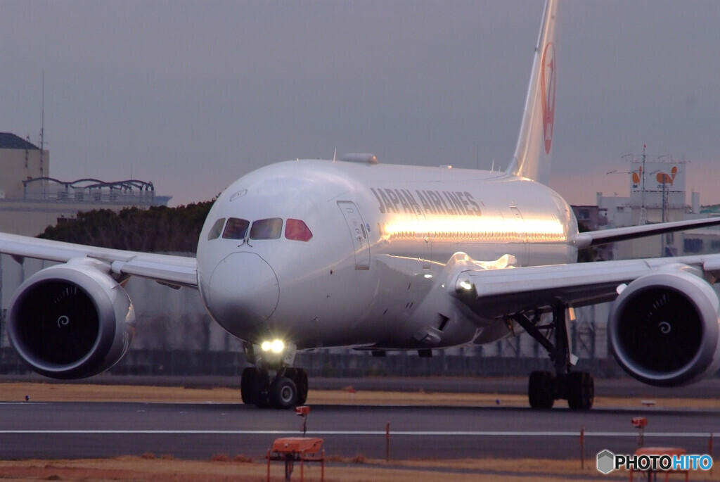 1月の空へ✈Dreamliner
