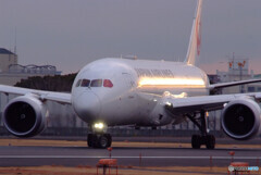 1月の空へ✈Dreamliner