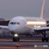 1月の空へ✈Dreamliner