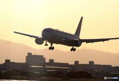 The Sun Also Rises・767