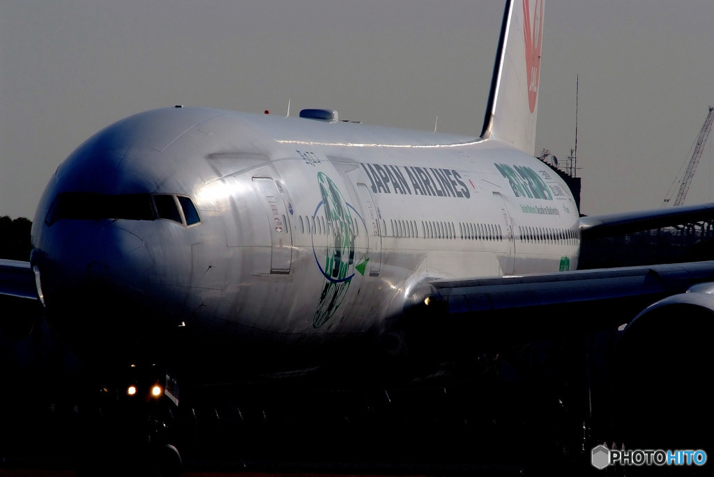 汚れた勲章・ECO