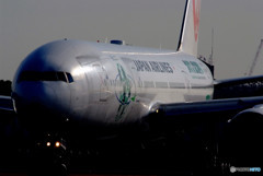 汚れた勲章・ECO