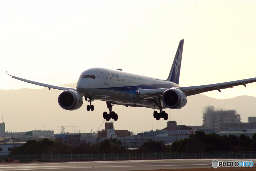 花月の彩✈Boeing 787-9
