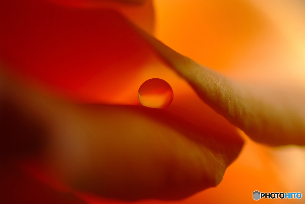 君の瞳に恋してる？