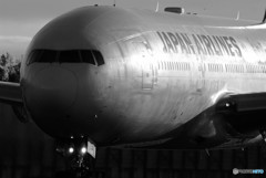 沈黙の標的・JA773J