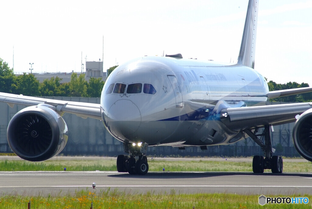 Weekend Relaxation✈Boeing787