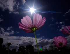 My Treasure・Energy