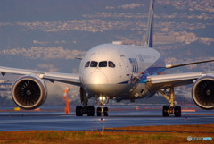 Run for the Sun・787