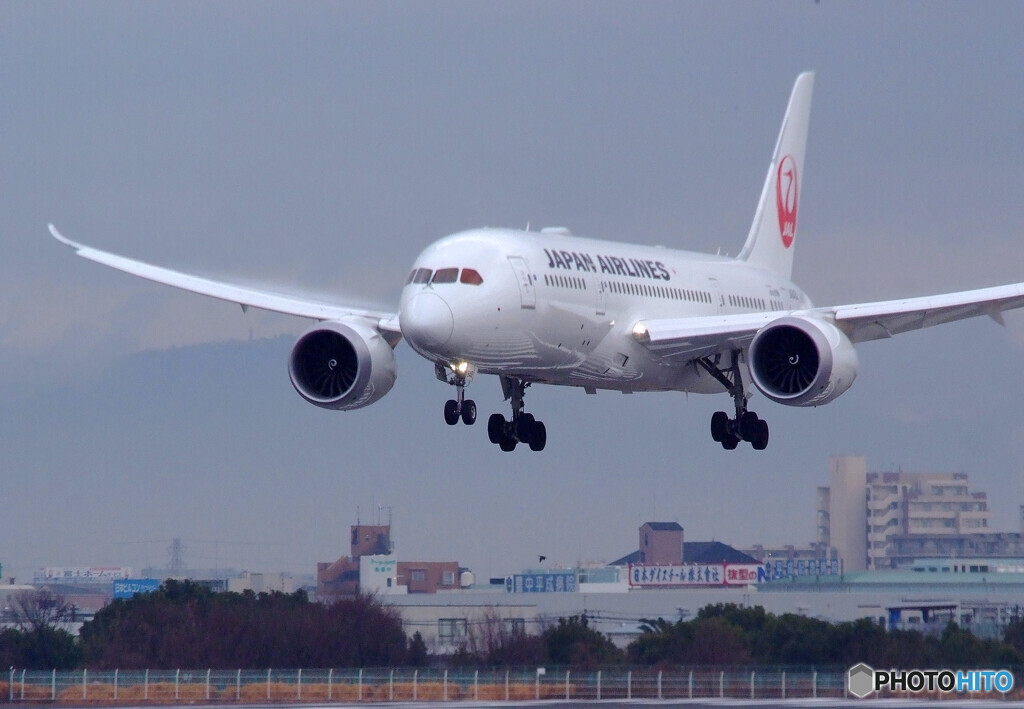 March SkyⅢ・787Wing