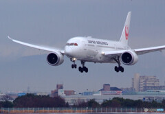 March SkyⅢ・787Wing