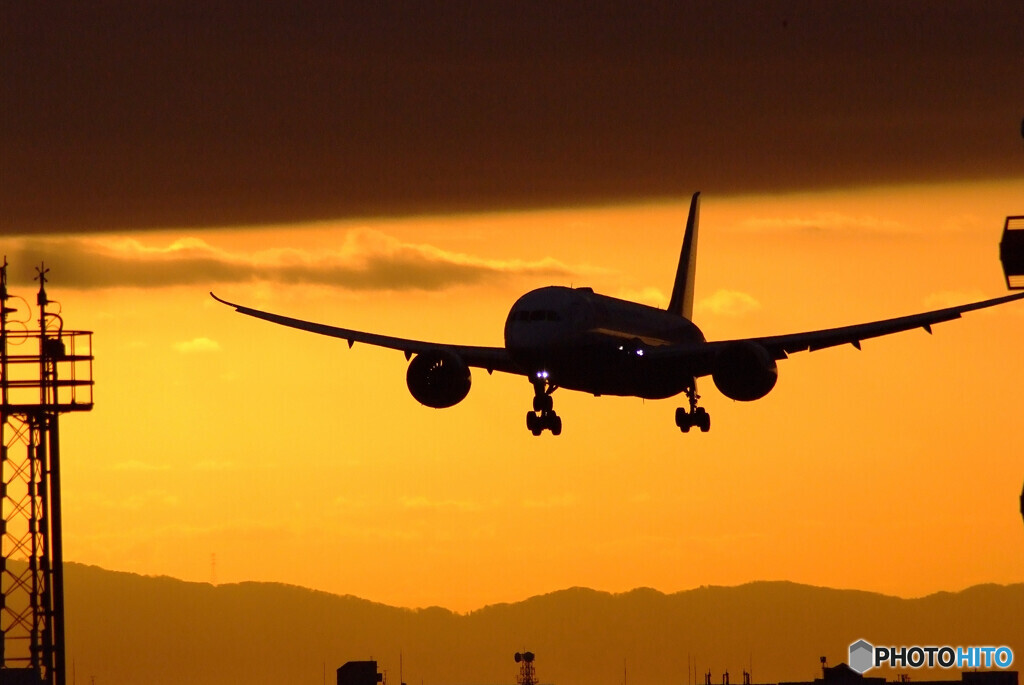 シルエットロマンス✈Boeing 787-8