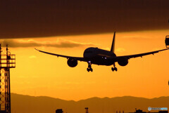 シルエットロマンス✈Boeing 787-8