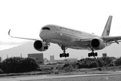 B/Wの世界からⅢ✈Airbus350-900