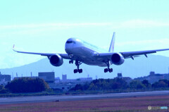 December MorningⅡ✈A350-900
