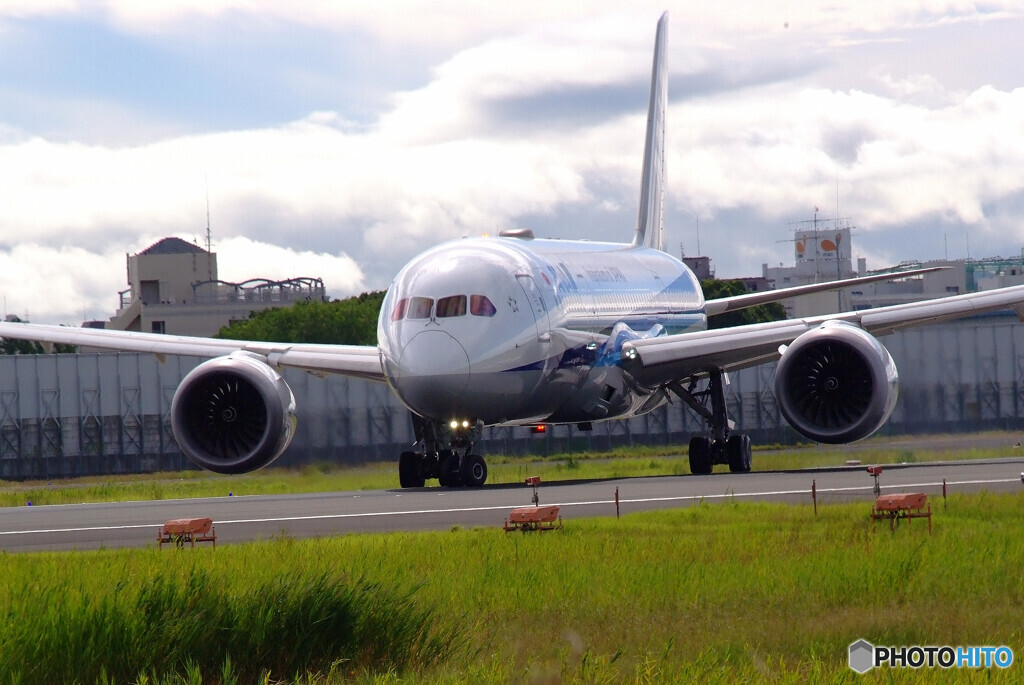 Endless SummerⅡ✈787-8