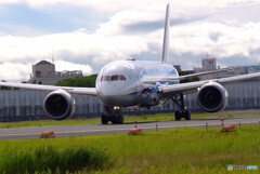 Endless SummerⅡ✈787-8