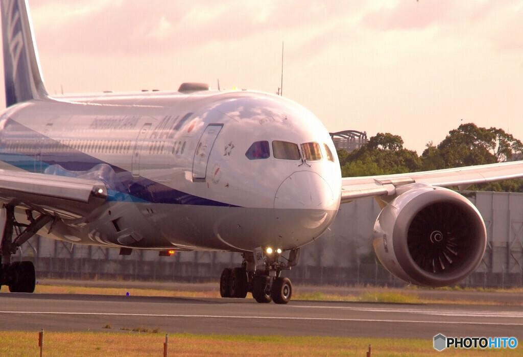 November Light・787