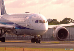 November Light・787