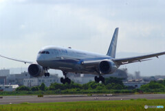 HARADAの夏✈Boeing787-9