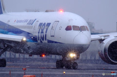 飛べ！白銀の世界へ・787