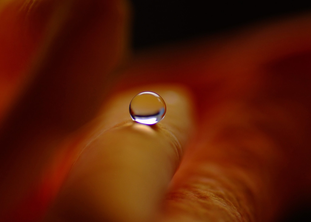 夢を信じて・雫