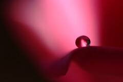 魅惑的な瞳♩睦月