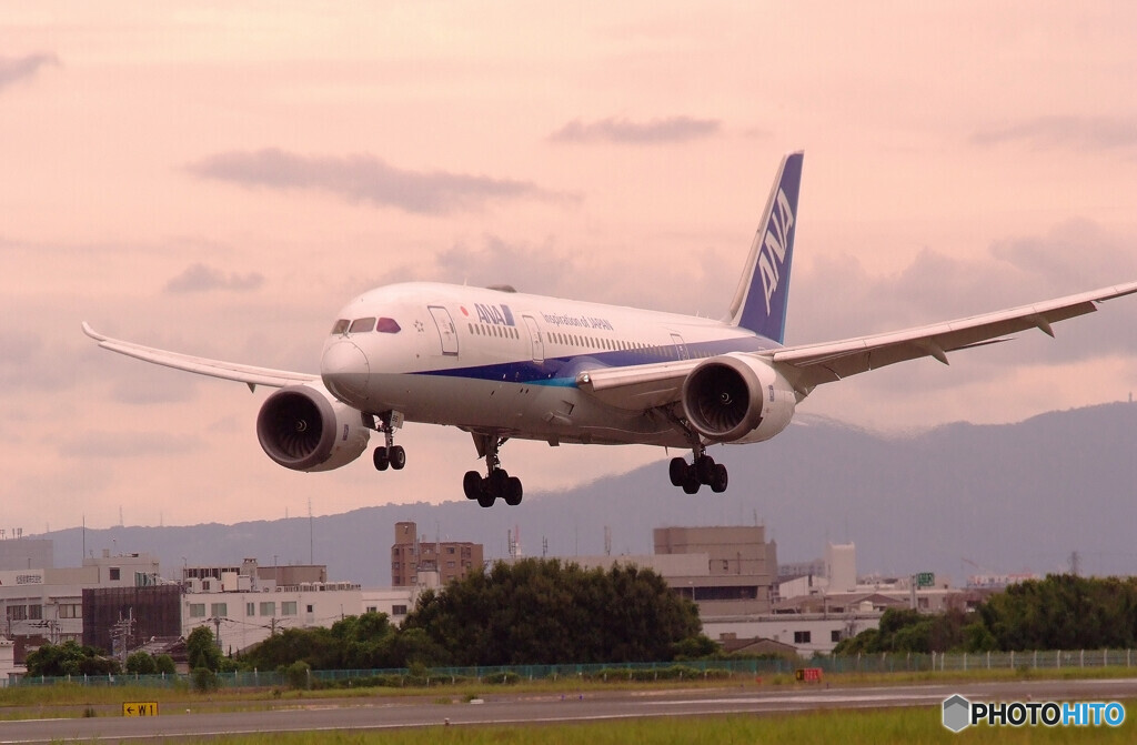 夢のつづき✈787Dreamliner