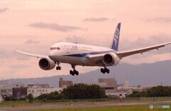 夢のつづき✈787Dreamliner