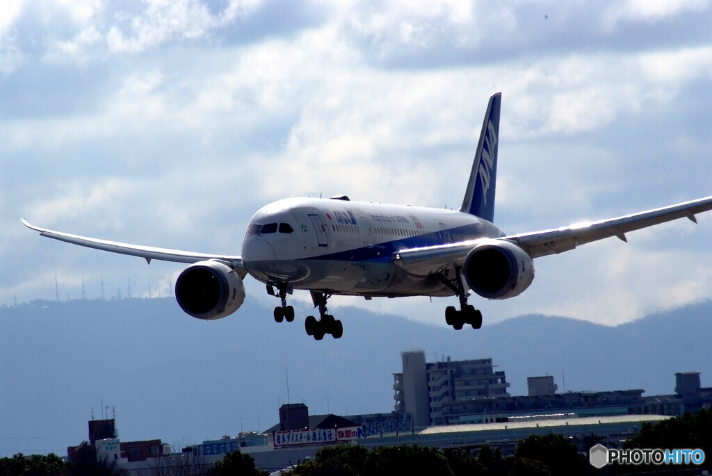 Morning Bird☆Boeing 787-8